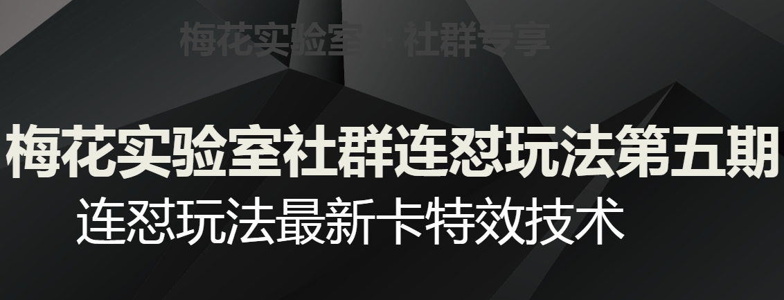 梅花实验室社群连怼玩法第五期，视频号连怼玩法最新卡特效技术-逐风项目库