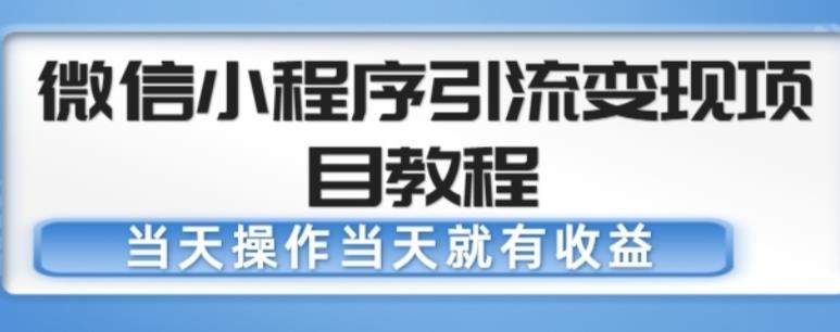 微信小程序引流变现项目教程，当天操作当天就有收益，变现不再是难事-逐风项目库