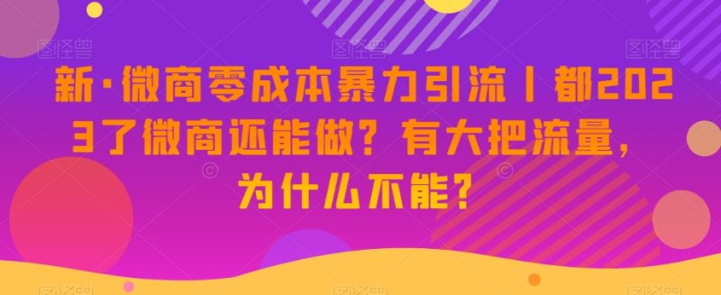 新·微商零成本暴力引流丨都2023了微商还能做？有大把流量，为什么不能？-逐风项目库