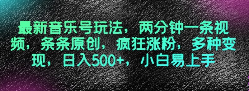 最新音乐号玩法，两分钟一条视频，条条原创，疯狂涨粉，多种变现，日入500+，小白易上手【揭秘】-逐风项目库