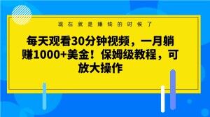 每天观看30分钟视频，一月躺赚1000+美金！保姆级教程，可放大操作【揭秘】-逐风项目库