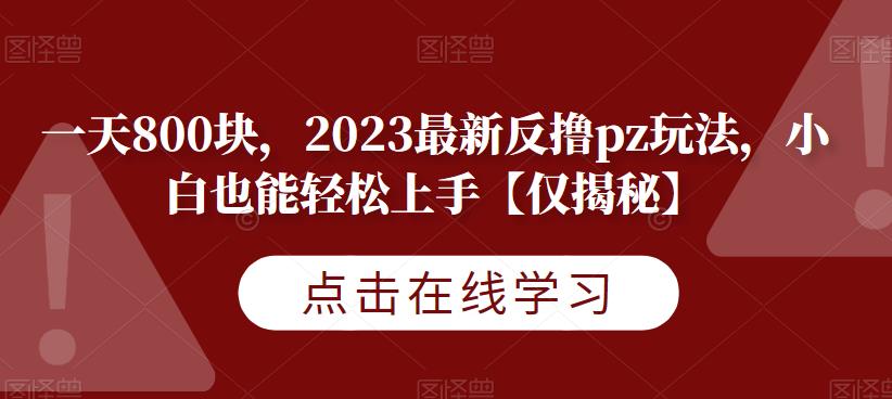 一天800块，2023最新反撸pz玩法，小白也能轻松上手【仅揭秘】-逐风项目库