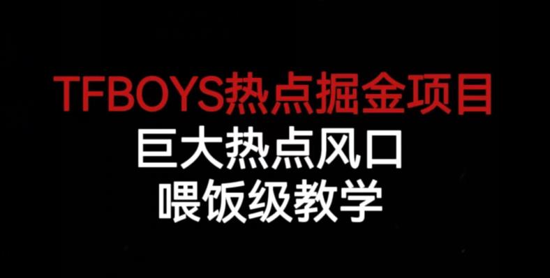 TFBOYS热点掘金项目，巨大热点风口，喂饭级教学-逐风项目库