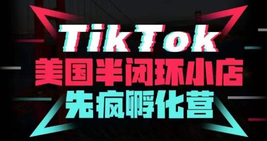 疯人院·TikTok美国半闭环小店孵化营，抢占TikTok美国蓝海市场，开店、运营、带货、投流全实操-逐风项目库