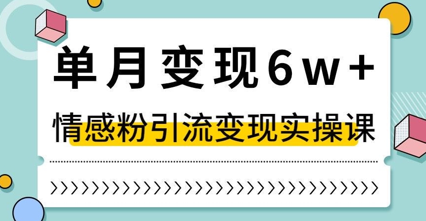 单月变现6W+，抖音情感粉引流变现实操课，小白可做，轻松上手，独家赛道【揭秘】-逐风项目库