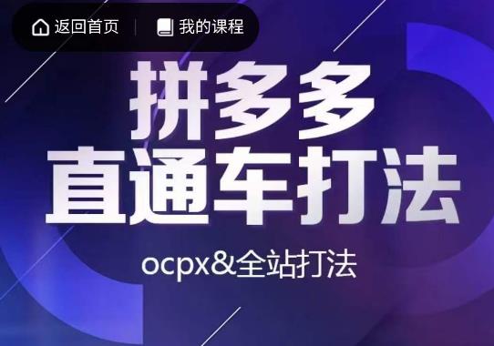互力·拼多多直通车打法，ocpx&全站打法-逐风项目库