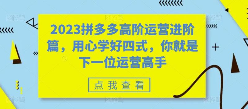 2023拼多多高阶运营进阶篇，用心学好四式，你就是下一位运营高手-逐风项目库