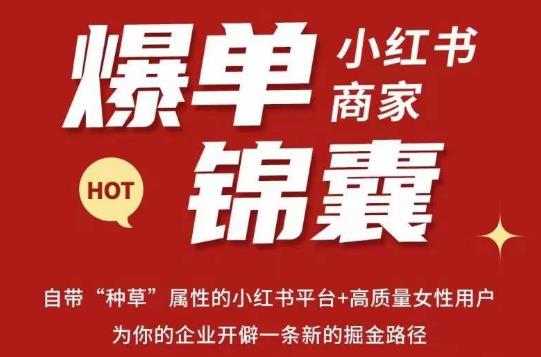 无畏·小红书商家爆单锦囊，掌握小红书各大规则，快速精准抢占行业和市场-逐风项目库