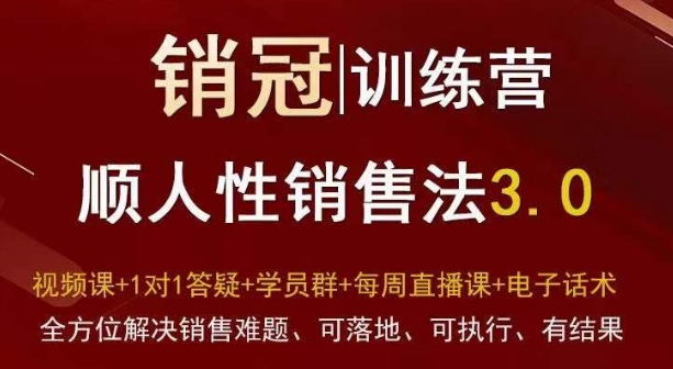 爆款！销冠训练营3.0之顺人性销售法，全方位解决销售难题、可落地、可执行、有结果-逐风项目库