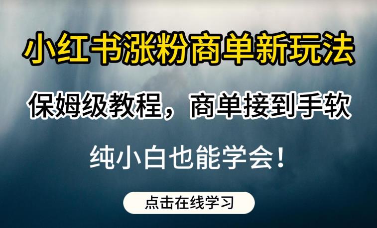 小红书涨粉商单新玩法，保姆级教程，商单接到手软，纯小白也能学会【揭秘】-逐风项目库