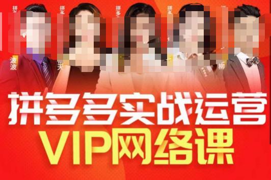推易拼多多VIP全套直播课程，拼多多店铺实操玩法+实战玩法选款内功+直通车高阶等-逐风项目库