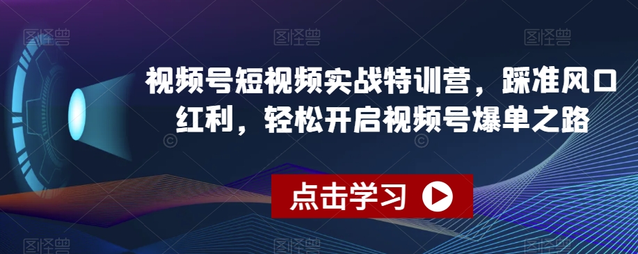 视频号短视频实战特训营，踩准风口红利，轻松开启视频号爆单之路-逐风项目库