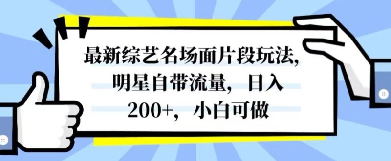 最新综艺名场面片段玩法，明星自带流量，日入200+，小白可做【揭秘】-逐风项目库