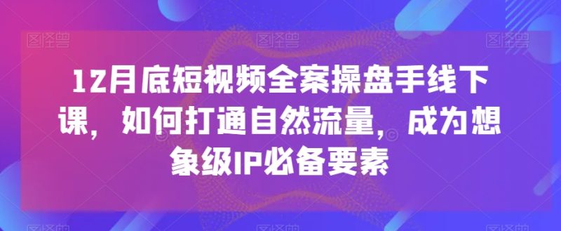 12月底短视频全案操盘手线下课，如何打通自然流量，成为想象级IP必备要素-逐风项目库