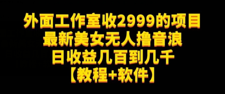 外面工作室收2999的项目最新美女无人撸音浪日收益几百到几千【教程+软件】（仅揭秘）-逐风项目库