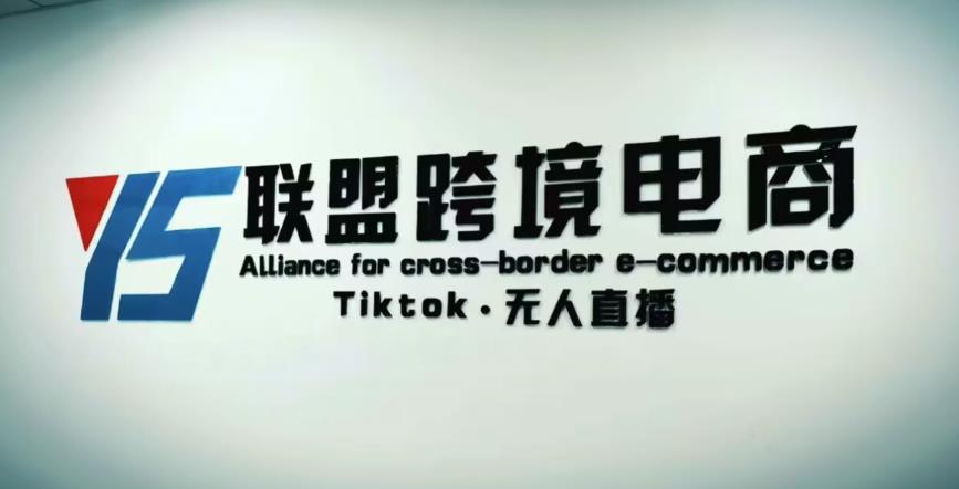 YS联盟·Tiktok无人直播，不出镜不剪辑不拍摄不发货无售后的跨境短视频躺赚玩法-逐风项目库