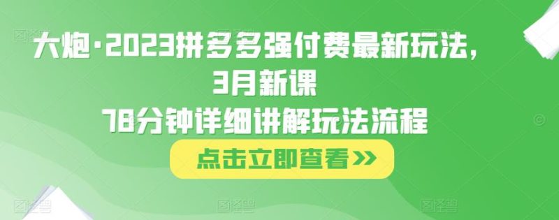 大炮·2023拼多多强付费最新玩法，3月新课​78分钟详细讲解玩法流程-逐风项目库