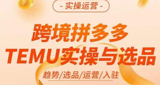 伍跃·跨境拼多多TEMU实操与选品，​趋势/选品/运营/入住（27节完整）-逐风项目库