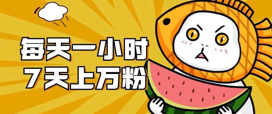 暴力涨粉项目：每天一小时，七天上万粉【揭秘】-逐风项目库