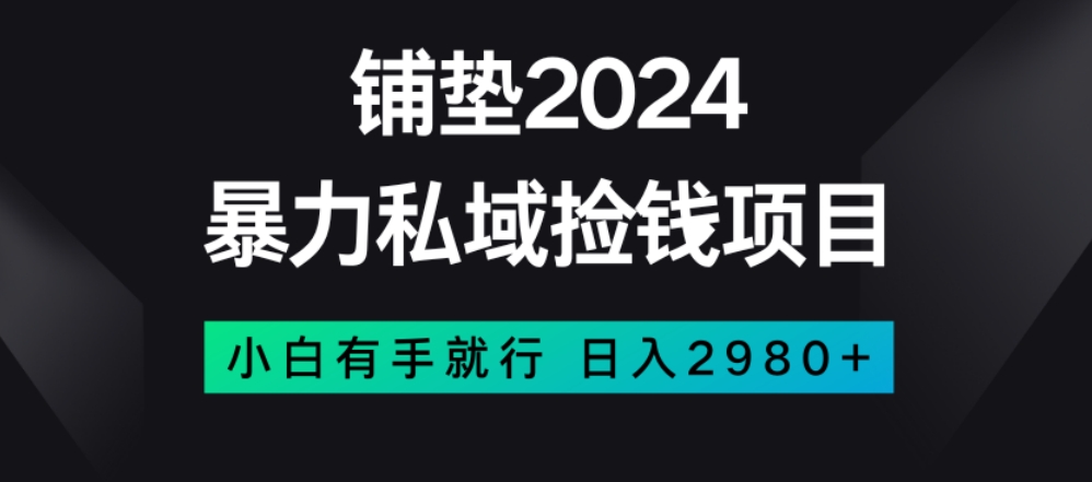 暴力私域捡钱项目，小白无脑操作，日入2980【揭秘】-逐风项目库