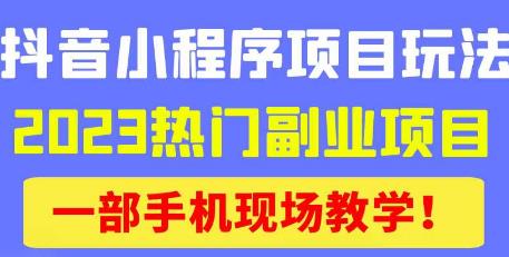 抖音小程序9.0新技巧，2023热门副业项目，动动手指轻松变现-逐风项目库