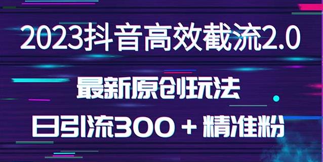 日引300＋创业粉，独家抖音高效截流2.0玩法（价值1280）-逐风项目库