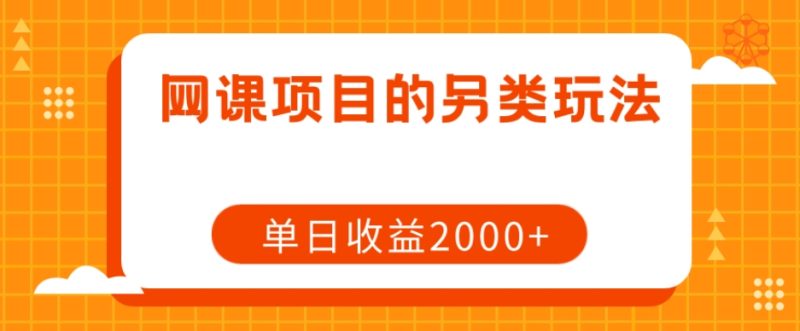 网课项目的另类玩法，单日收益2000+【揭秘】-逐风项目库