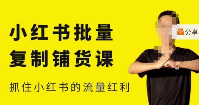 张宾·小红书批量复制铺货课，小红书0-1快速起号变现玩法，抓住小红书的流量红利（更新2023年3月）-逐风项目库