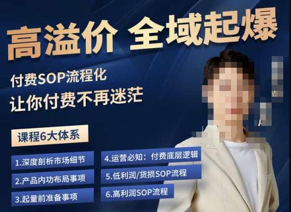 逸风-拼多多高溢价全域起爆，6大课程体系，付费玩法全套实操-逐风项目库