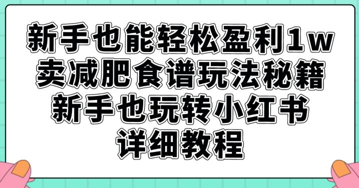 新手也能轻松盈利1w，卖减肥食谱玩法秘籍，新手也玩转小红书详细教程【揭秘】-逐风项目库