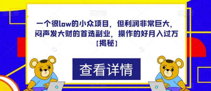 一个很low的小众项目，但利润非常巨大，闷声发大财的首选副业，操作的好月入过万【揭秘】-逐风项目库