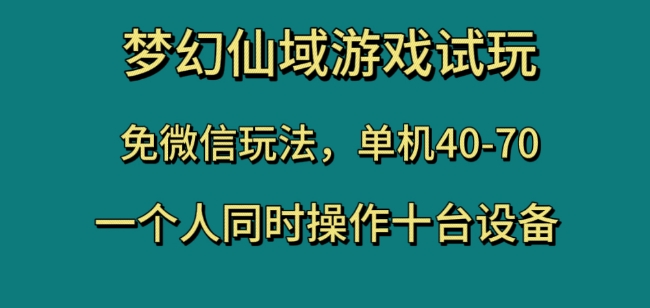 梦幻仙域游戏试玩，免微信玩法，单机40-70，一个人同时操作十台设备【揭秘】-逐风项目库