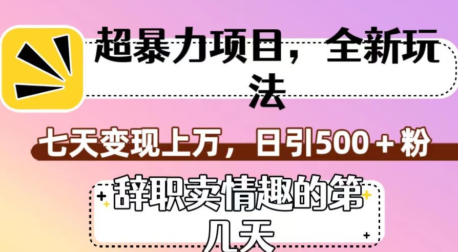 超暴利项目，全新玩法（辞职卖情趣的第几天），七天变现上万，日引500+粉【揭秘】-逐风项目库