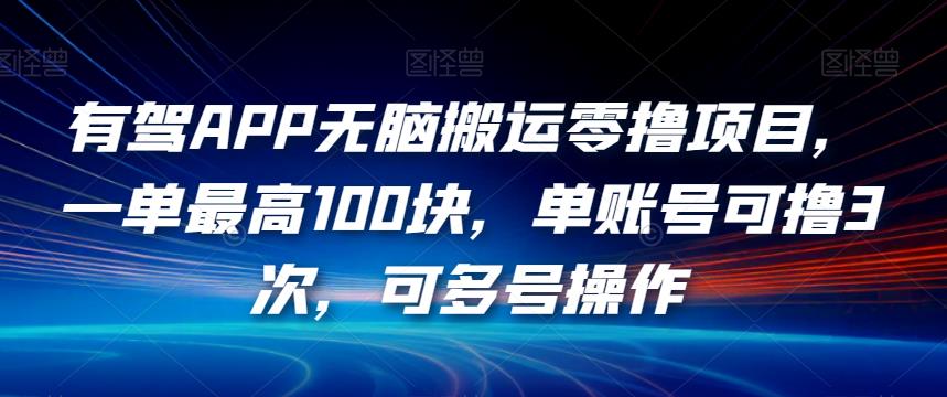 有驾APP无脑搬运零撸项目，一单最高100块，单账号可撸3次，可多号操作【揭秘】-逐风项目库
