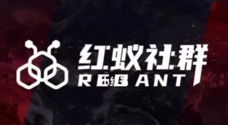 社群运营：红蚁社群【48节落地系统课程+2000人高端社群】-逐风项目库