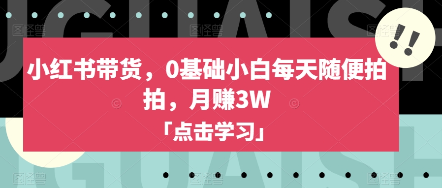 小红书带货，0基础小白每天随便拍拍，月赚3W【揭秘】-逐风项目库