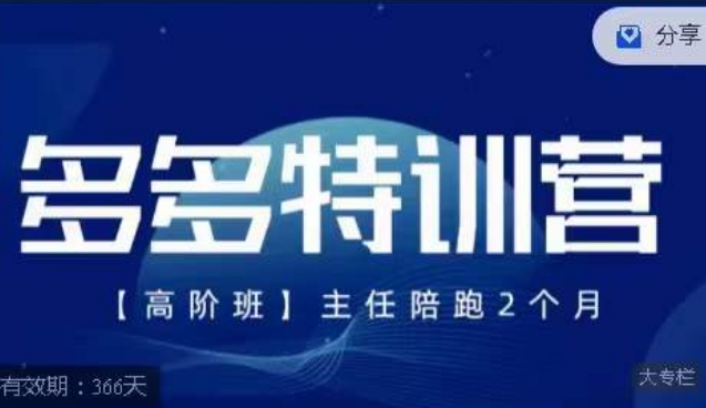纪主任·多多特训营高阶班【9月13日更新】，拼多多最新玩法技巧落地实操-逐风项目库