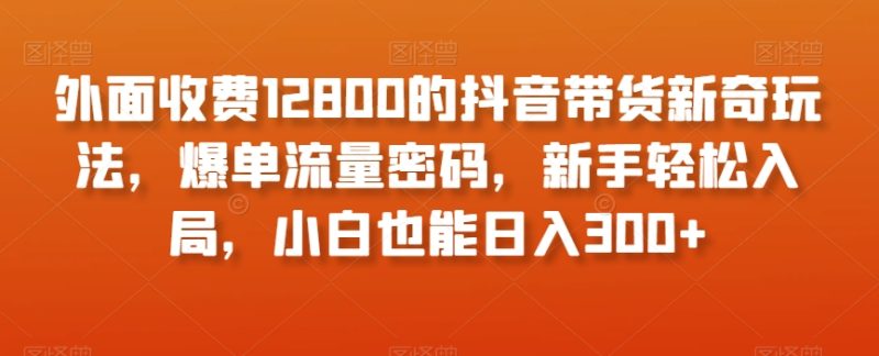 外面收费12800的抖音带货新奇玩法，爆单流量密码，新手轻松入局，小白也能日入300+【揭秘】-逐风项目库