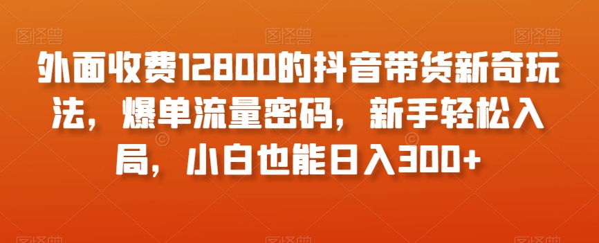 外面收费12800的抖音带货新奇玩法，爆单流量密码，新手轻松入局，小白也能日入300+【揭秘】-逐风项目库