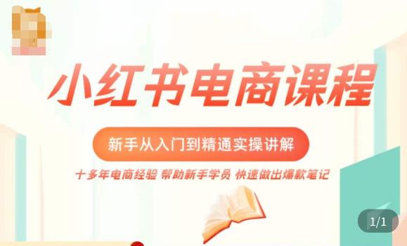 小红书电商新手入门到精通实操课，从入门到精通做爆款笔记，开店运营-逐风项目库