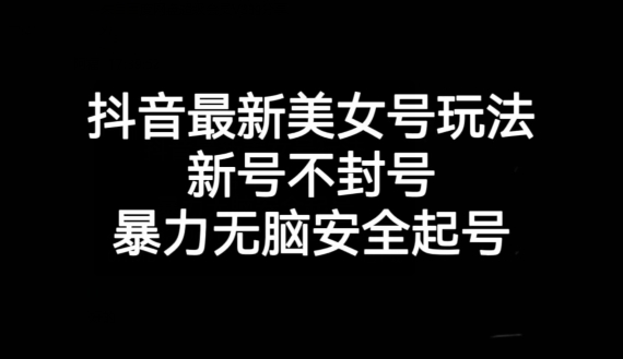 抖音最新美女号玩法，新号不封号，暴力无脑安全起号【揭秘】-逐风项目库