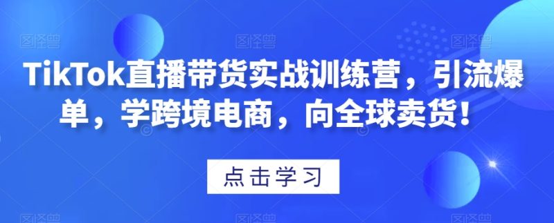 TikTok直播带货实战训练营，引流爆单，学跨境电商，向全球卖货！-逐风项目库
