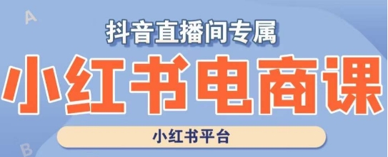 小红书电商高级运营课程，实操教学+案例分析-逐风项目库