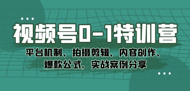 视频号0-1特训营：平台机制、拍摄剪辑、内容创作、爆款公式，实战案例分享-逐风项目库