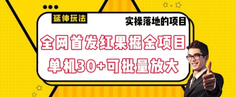 全网首发红果免费短剧掘金项目，单机30+可批量放大【揭秘】-逐风项目库