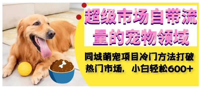 超级市场自带流量的宠物领域，同城萌宠项目冷门方法打破热门市场，小白轻松600+-逐风项目库