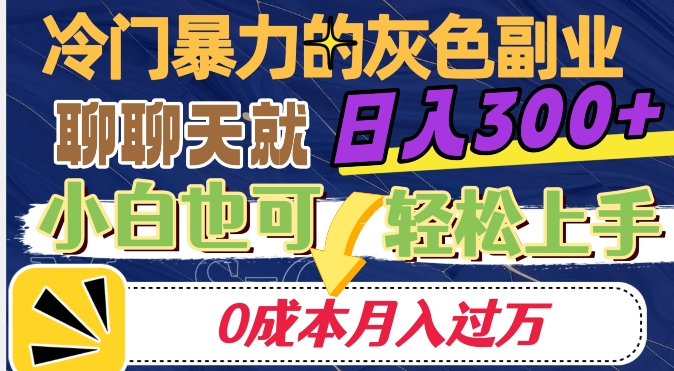 冷门暴利的副业项目，聊聊天就能日入300+，0成本月入过万【揭秘】-逐风项目库