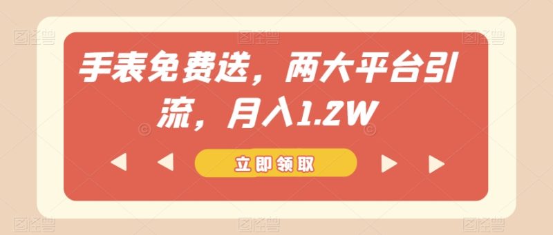 手表免费送，两大平台引流，月入1.2W【揭秘】-逐风项目库