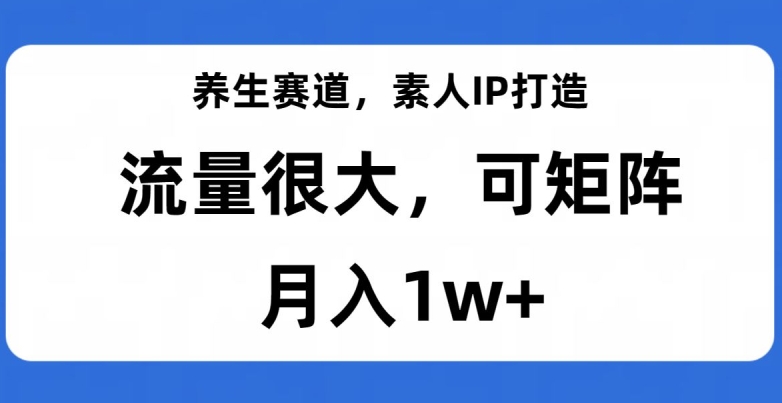 养生赛道，素人IP打造，流量很大，可矩阵，月入1w+【揭秘】-逐风项目库
