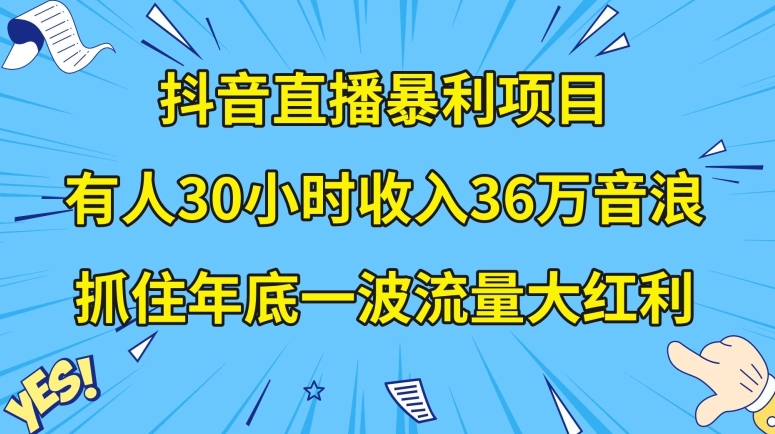 抖音直播暴利项目，有人30小时收入36万音浪，公司宣传片年会视频制作，抓住年底一波流量大红利【揭秘】-逐风项目库